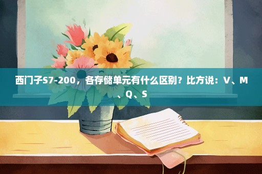 西门子S7-200，各存储单元有什么区别？比方说：V、M、Q、S