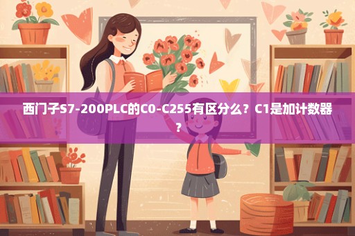 西门子S7-200PLC的C0-C255有区分么？C1是加计数器？