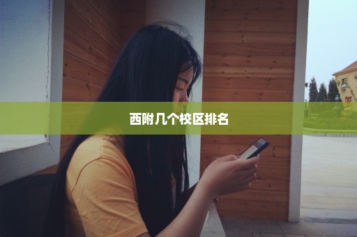 西附几个校区排名