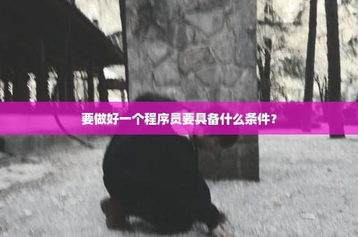 要做好一个程序员要具备什么条件？