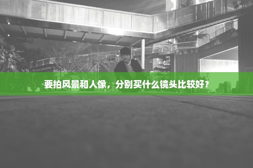 要拍风景和人像，分别买什么镜头比较好？