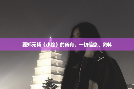 要郑元畅（小综）的所有、一切信息、资料