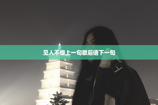 见人不惊上一句歇后语下一句