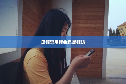 见领导用拜会还是拜访