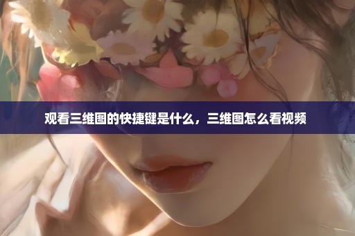 观看三维图的快捷键是什么，三维图怎么看视频 