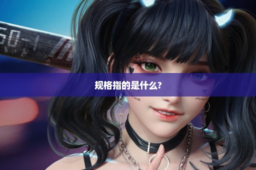 规格指的是什么?