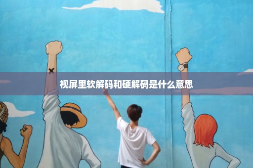 视屏里软解码和硬解码是什么意思