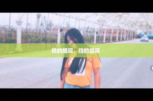 视的组词，挡的组词 