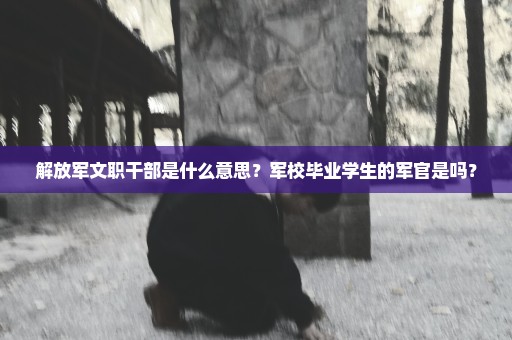 解放军文职干部是什么意思？军校毕业学生的军官是吗？