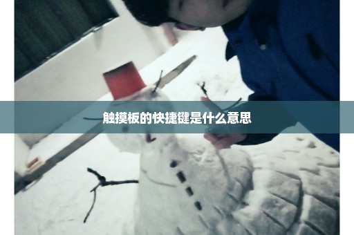 触摸板的快捷键是什么意思