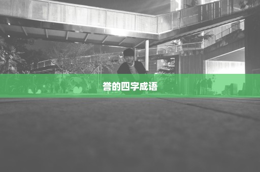 誉的四字成语