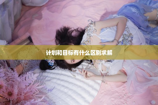 计划和目标有什么区别求解