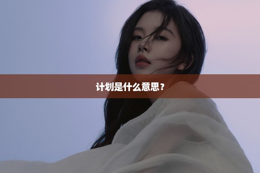 计划是什么意思？