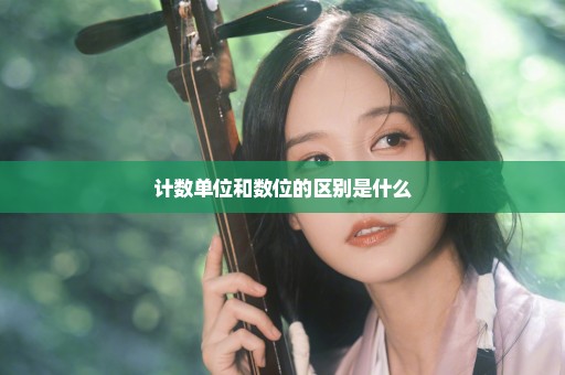 计数单位和数位的区别是什么