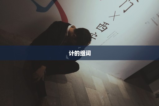计的组词