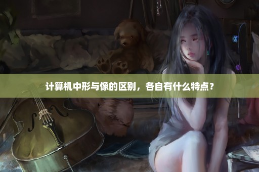 计算机中形与像的区别，各自有什么特点？