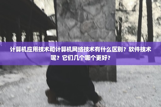 计算机应用技术和计算机网络技术有什么区别？软件技术呢？它们几个哪个更好？