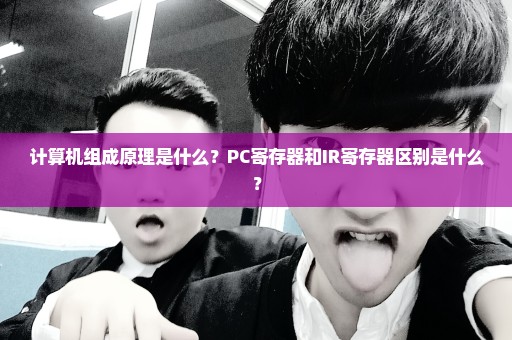 计算机组成原理是什么？PC寄存器和IR寄存器区别是什么？