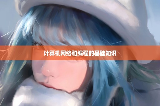 计算机网络和编程的基础知识