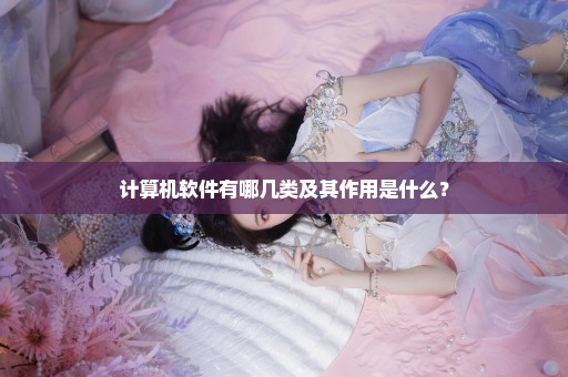 计算机软件有哪几类及其作用是什么？