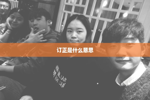 订正是什么意思