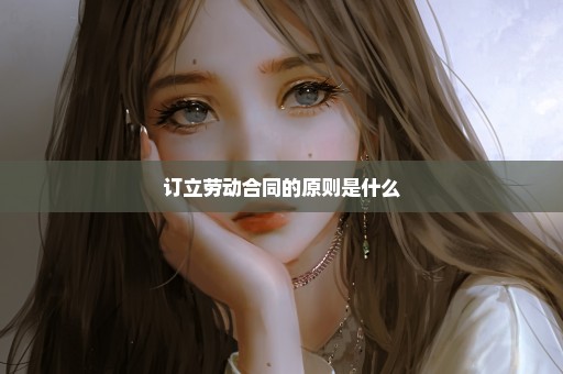 订立劳动合同的原则是什么