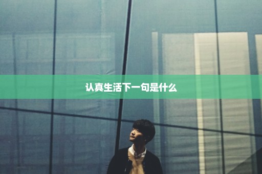 认真生活下一句是什么