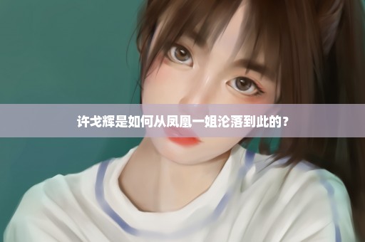 许戈辉是如何从凤凰一姐沦落到此的？
