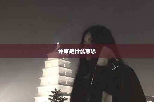 评审是什么意思