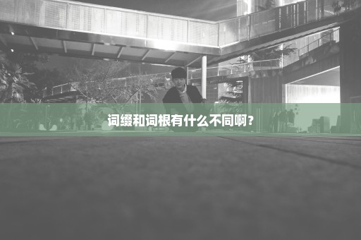 词缀和词根有什么不同啊？