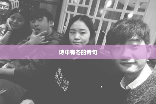 诗中有冬的诗句