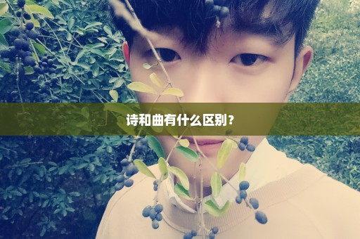 诗和曲有什么区别？