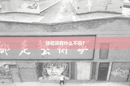诗和词有什么不同？