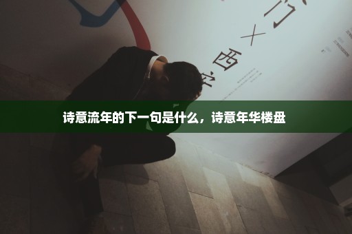 诗意流年的下一句是什么，诗意年华楼盘 