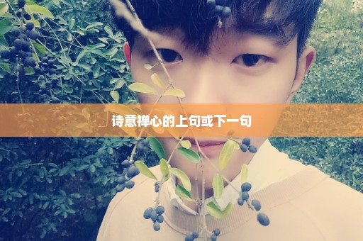 诗意禅心的上句或下一句