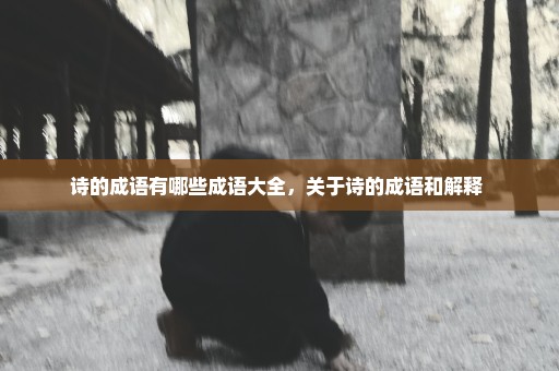 诗的成语有哪些成语大全，关于诗的成语和解释 