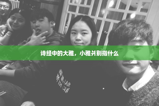 诗经中的大雅，小雅爿别指什么