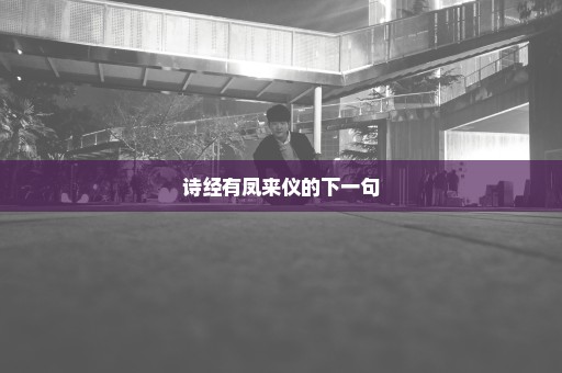 诗经有凤来仪的下一句