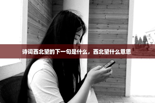 诗词西北望的下一句是什么，西北望什么意思 