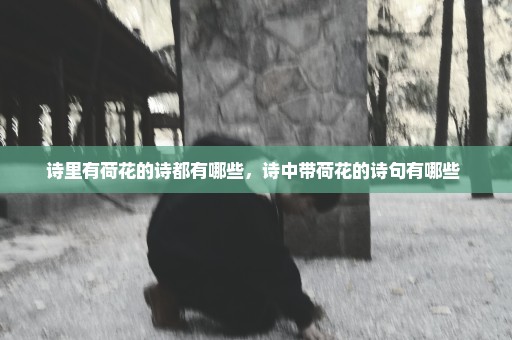诗里有荷花的诗都有哪些，诗中带荷花的诗句有哪些 
