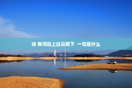 诗 黄河远上白云间下  一句是什么