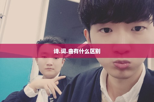 诗.词.曲有什么区别