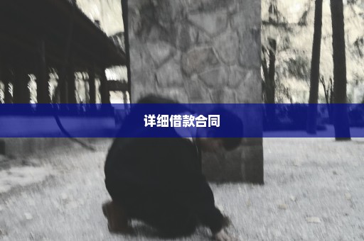详细借款合同