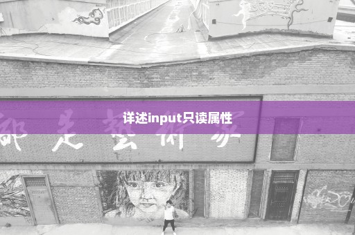 详述input只读属性