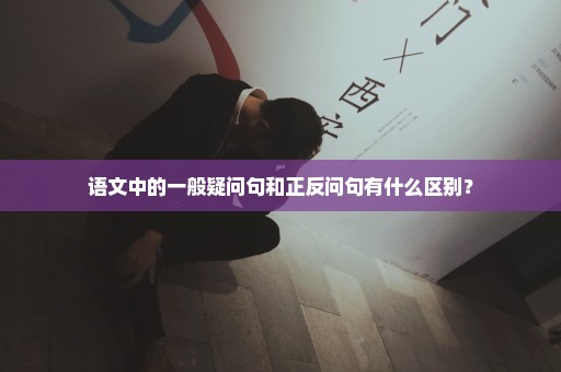 语文中的一般疑问句和正反问句有什么区别？