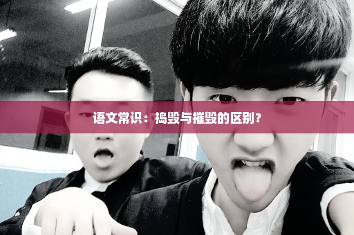 语文常识：捣毁与摧毁的区别？