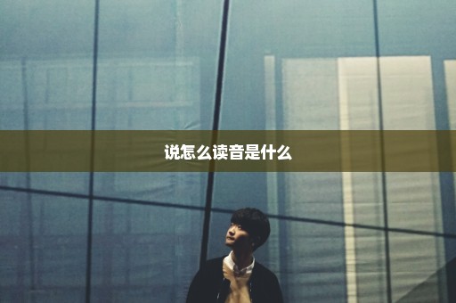 说怎么读音是什么