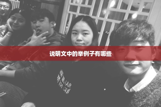 说明文中的举例子有哪些