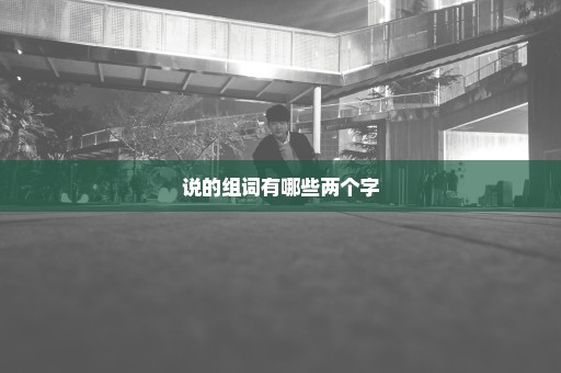 说的组词有哪些两个字