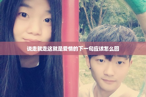 说走就走这就是爱情的下一句应该怎么回